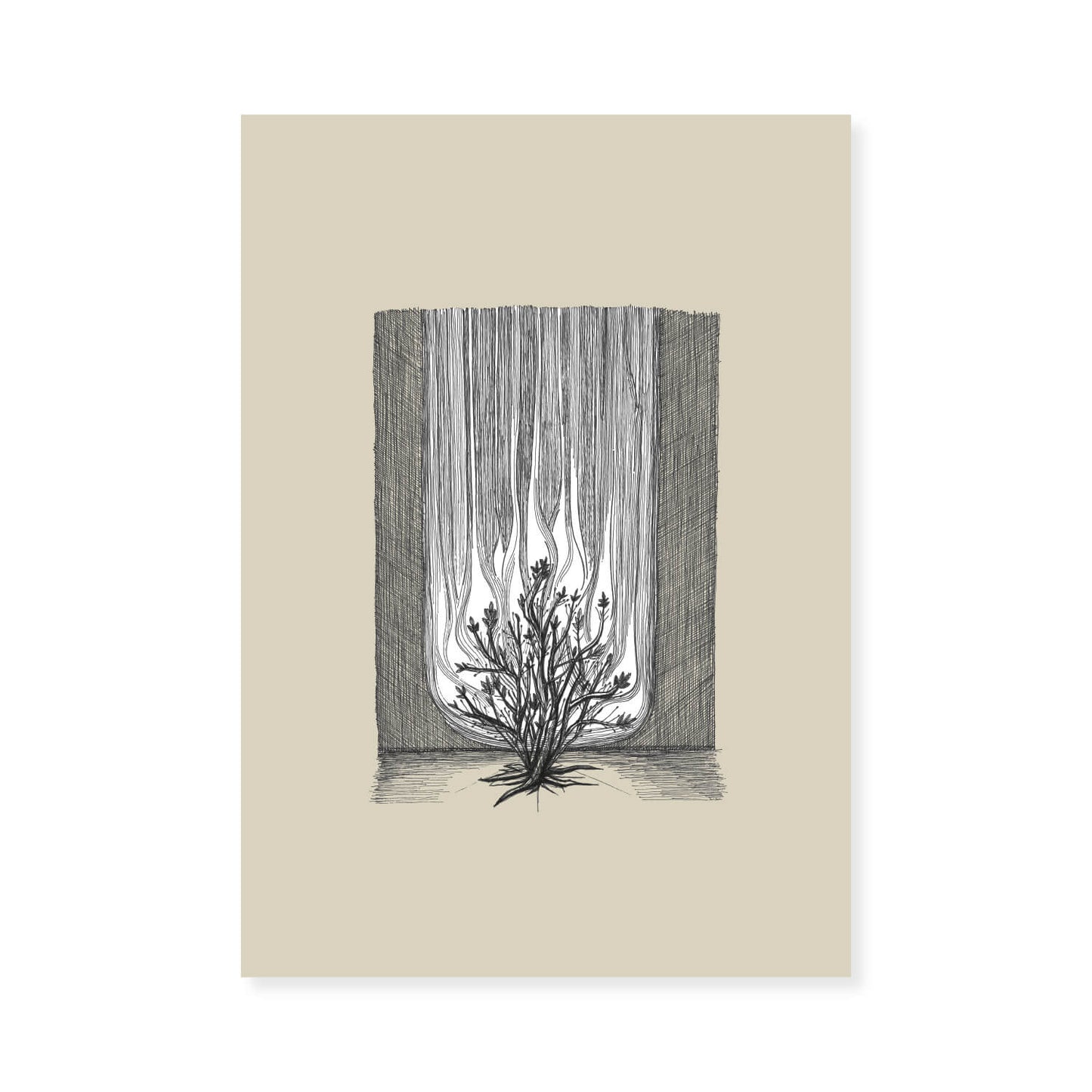 Burning Bush Exodus 3