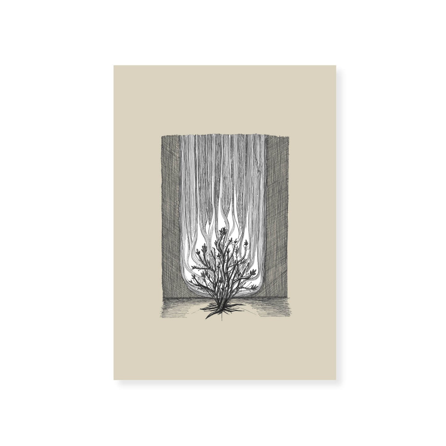 Burning Bush Exodus 3