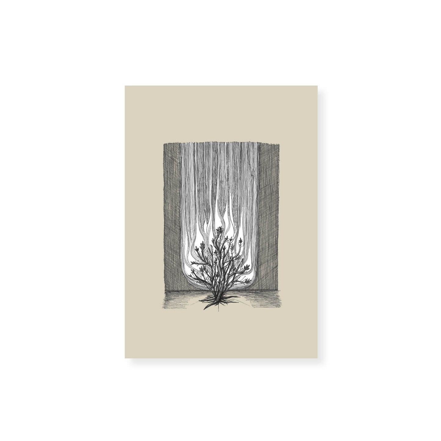 Burning Bush Exodus 3