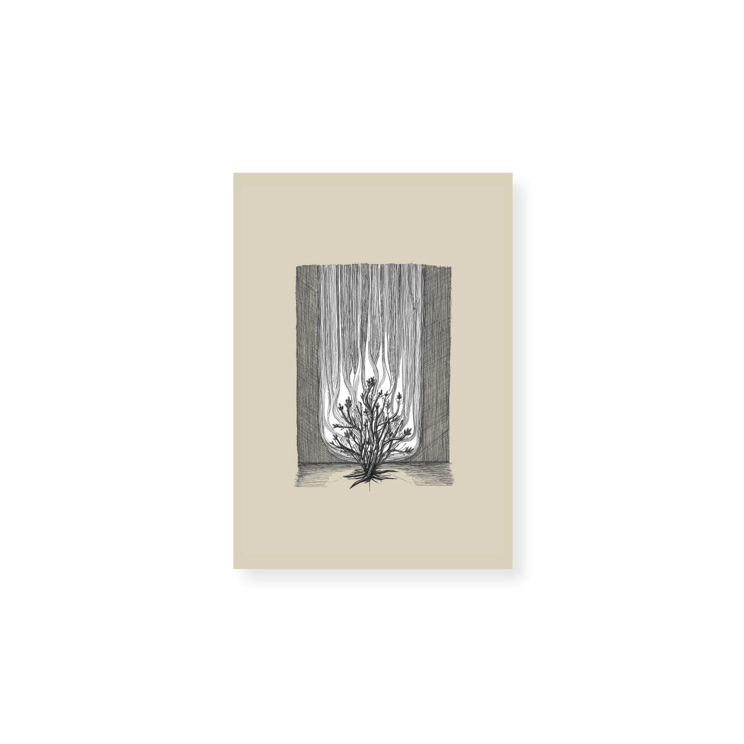 Burning Bush Exodus 3