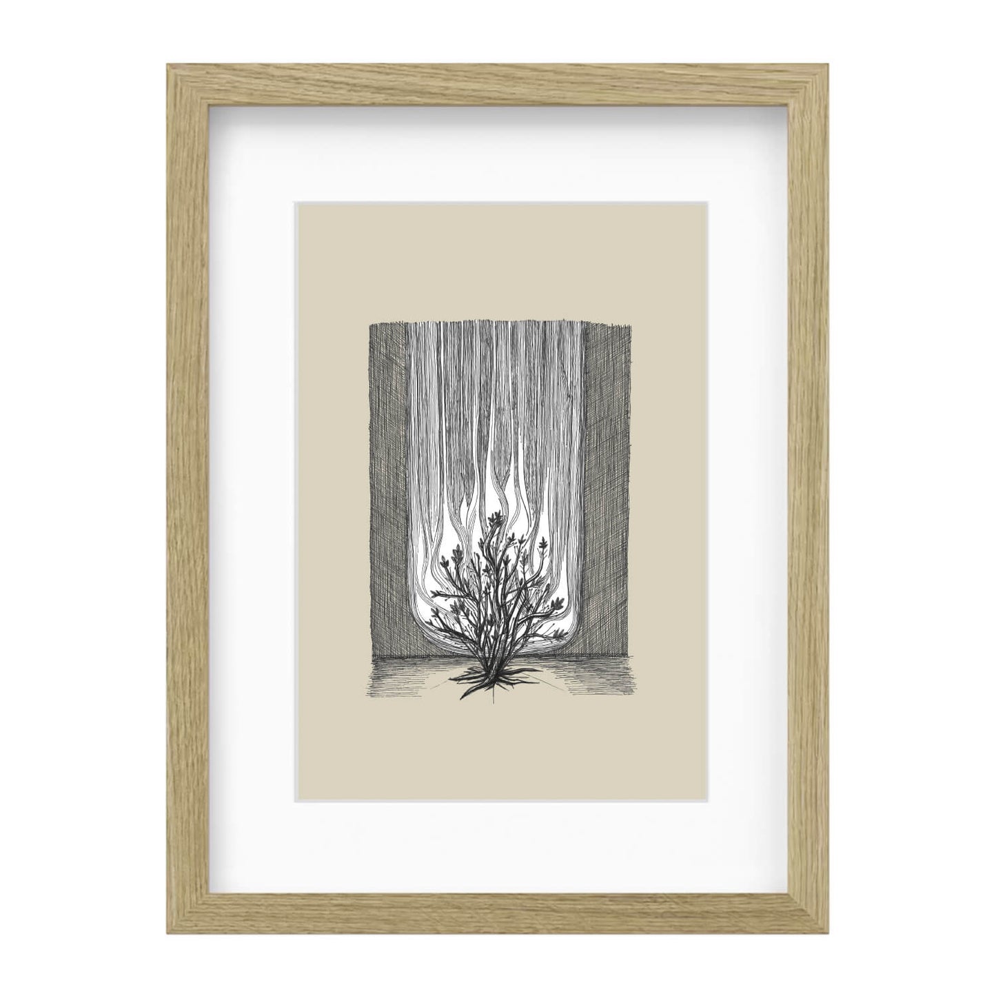 Burning Bush Exodus 3