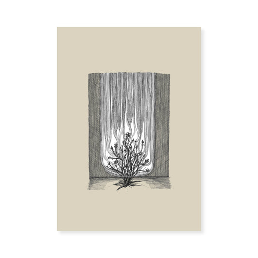Burning Bush Exodus 3