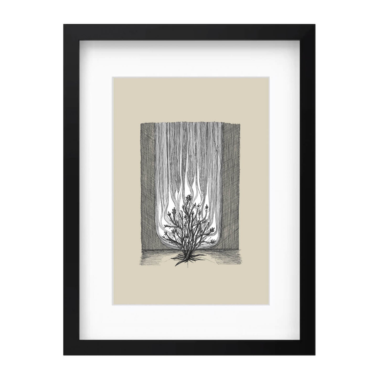 Burning Bush Exodus 3