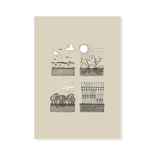 Parable of the Sower & Four Soils